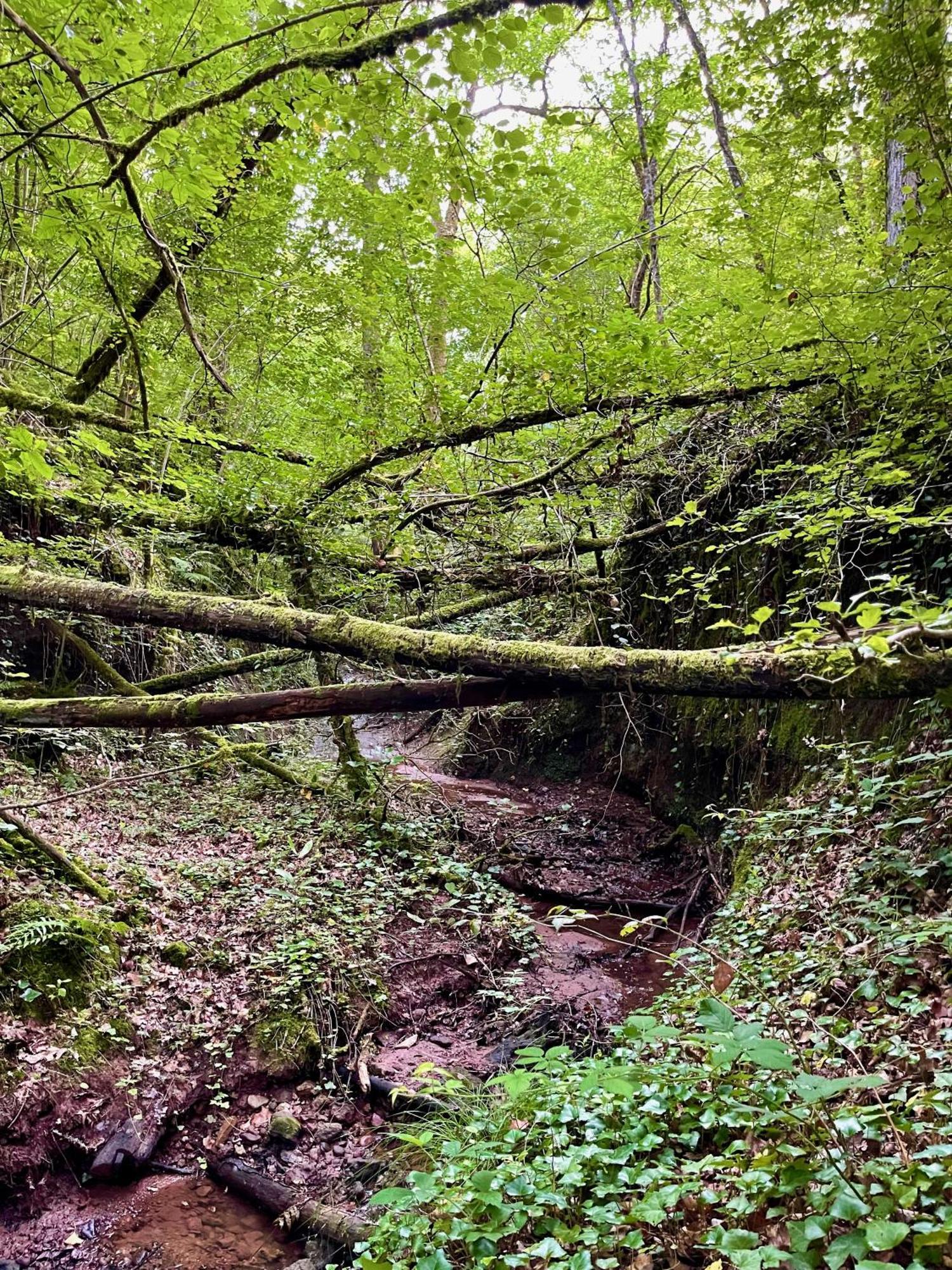 Вілла La Belle Petite Ferme Rosiers De Julliac 19350 Le Bos Екстер'єр фото